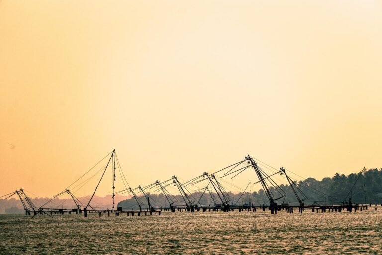 Ashtamudi lake (Kerala) at sunrise
